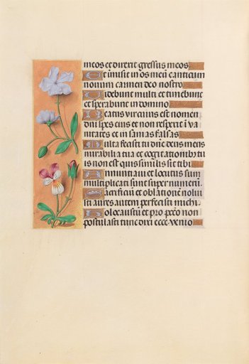 Hours of Queen Isabella the Catholic, Queen of Spain: Fol. 239v