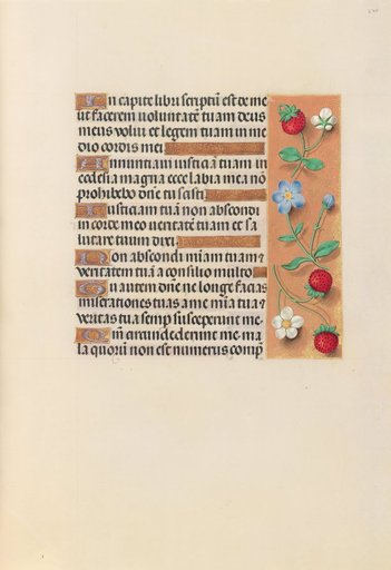 Hours of Queen Isabella the Catholic, Queen of Spain: Fol. 240r