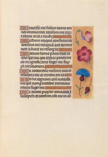 Hours of Queen Isabella the Catholic, Queen of Spain: Fol. 242r