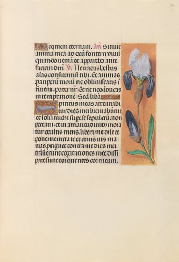 Hours of Queen Isabella the Catholic, Queen of Spain: Fol. 244r