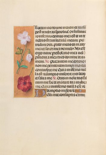 Hours of Queen Isabella the Catholic, Queen of Spain: Fol. 244v
