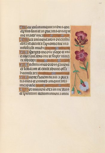Hours of Queen Isabella the Catholic, Queen of Spain: Fol. 247r