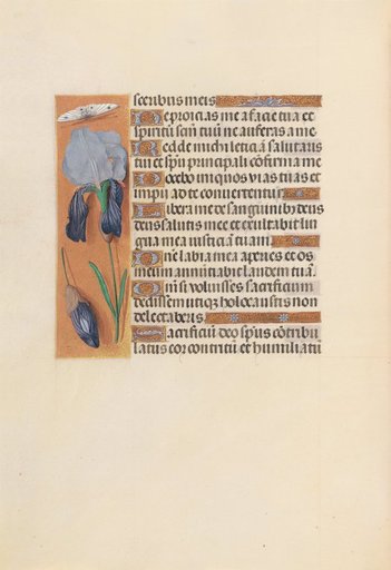 Hours of Queen Isabella the Catholic, Queen of Spain: Fol. 247v