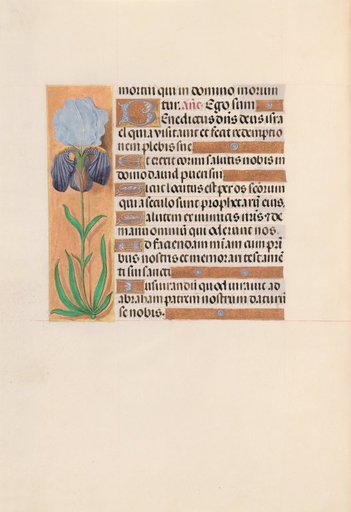 Hours of Queen Isabella the Catholic, Queen of Spain: Fol. 254v