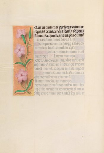 Hours of Queen Isabella the Catholic, Queen of Spain: Fol. 256v, Virgin and Child