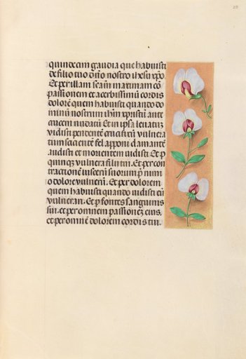 Hours of Queen Isabella the Catholic, Queen of Spain: Fol. 259r