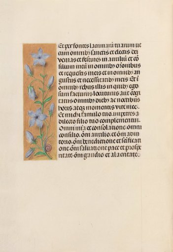 Hours of Queen Isabella the Catholic, Queen of Spain: Fol. 259v