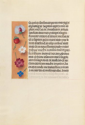 Hours of Queen Isabella the Catholic, Queen of Spain: Fol. 260v, Pieta