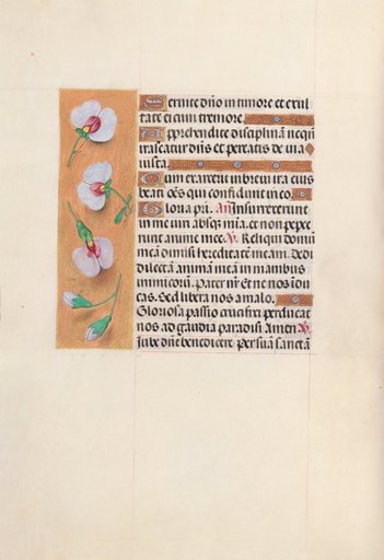 Hours of Queen Isabella the Catholic, Queen of Spain: Fol. 53v
