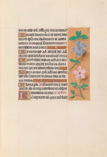 Hours of Queen Isabella the Catholic, Queen of Spain: Fol. 62r
