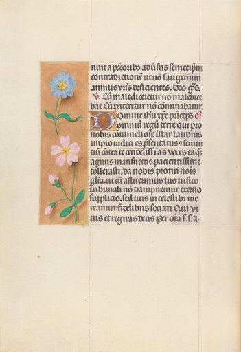 Hours of Queen Isabella the Catholic, Queen of Spain: Fol. 62v