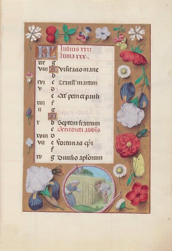Hours of Queen Isabella the Catholic, Queen of Spain: Fol. 8r, July - Harvesting Wheat