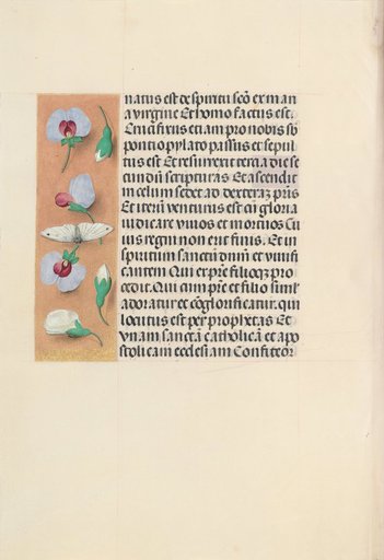 Hours of Queen Isabella the Catholic, Queen of Spain: Fol. 91v