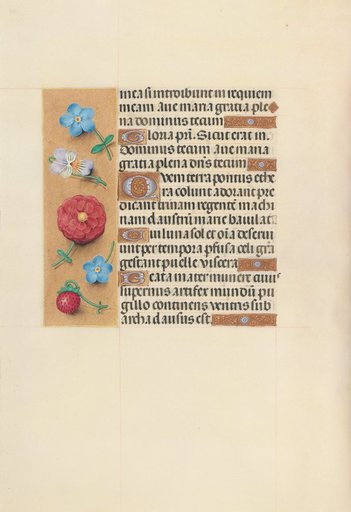 Hours of Queen Isabella the Catholic, Queen of Spain: Fol. 99v