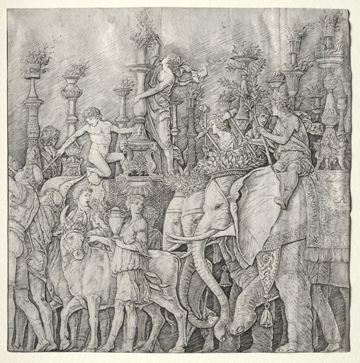 The Triumphs of Caesar: The Elephants