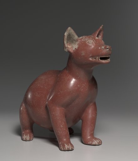 Male Dog
