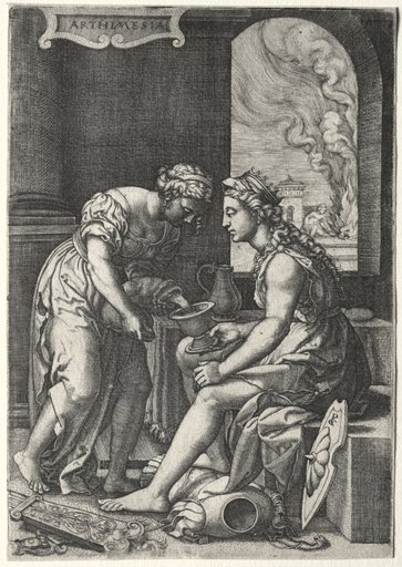 Artemisia