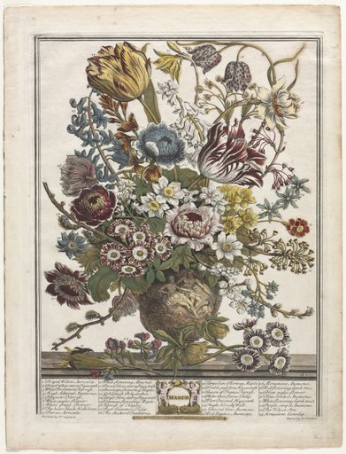Twelve Months of Flowers: March