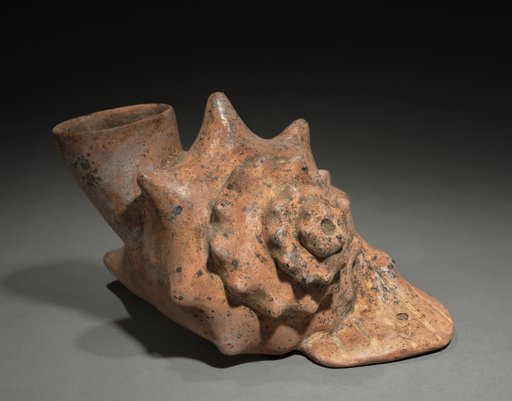 Conch Shell Trumpet Vessel