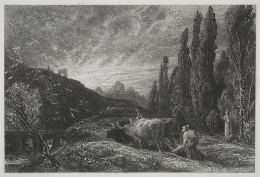 The Early Plowman