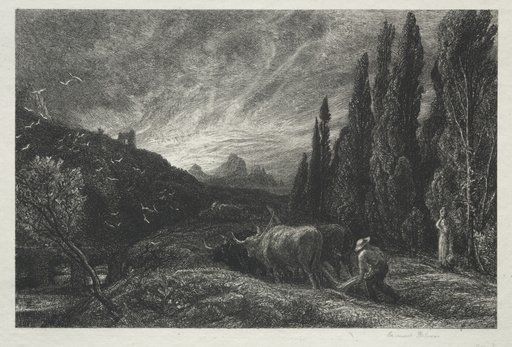 The Early Ploughman