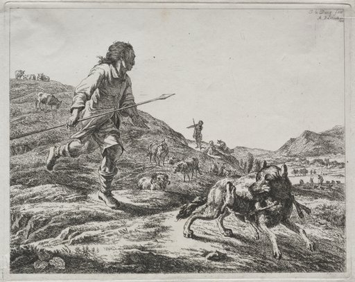 Shepherd Chasing a Wolf