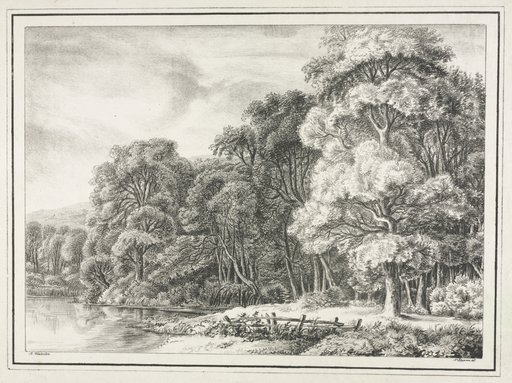 Woodland Scenery with Lake