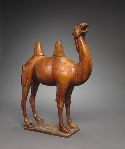Camel