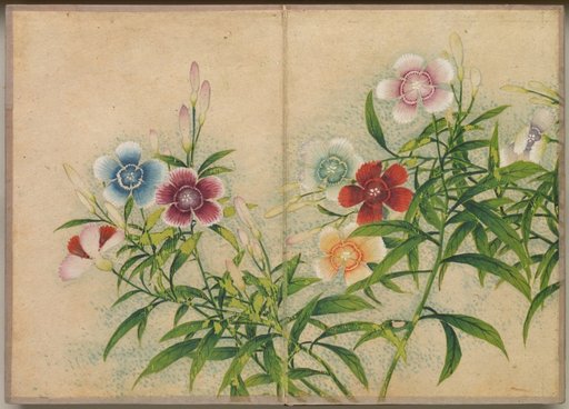 Desk Album: Flower and Bird Paintings (Pinks)