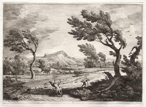 Landscape