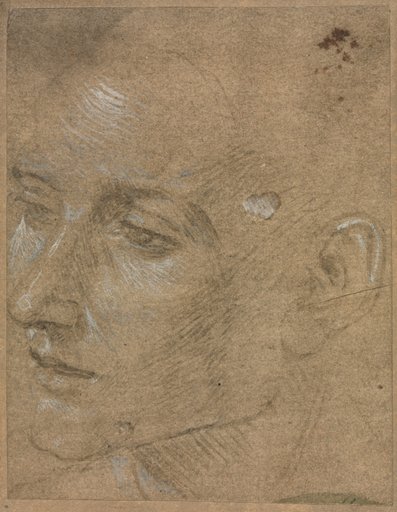 Head of a Young Man