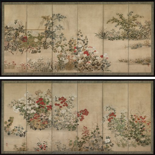 Flowers and Grasses
