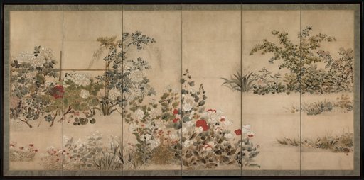 Flowers and Grasses