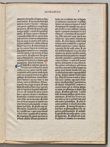 Page from a Gutenberg Bible