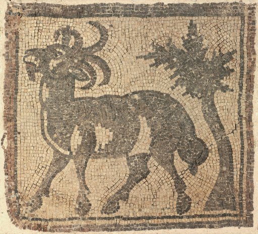 Ram near a Tree