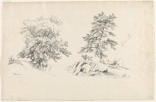 Chestnut and Pine