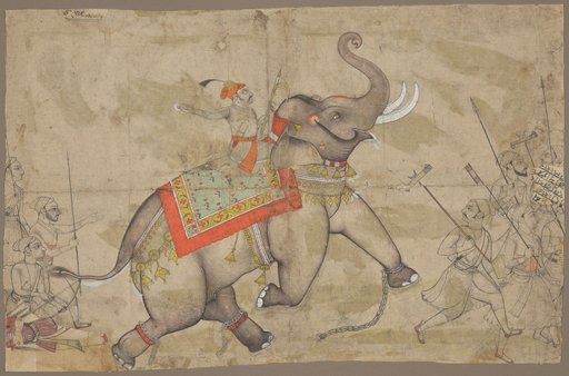 A Raja on an Elephant