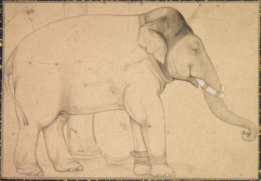 Drawing of an Elephant