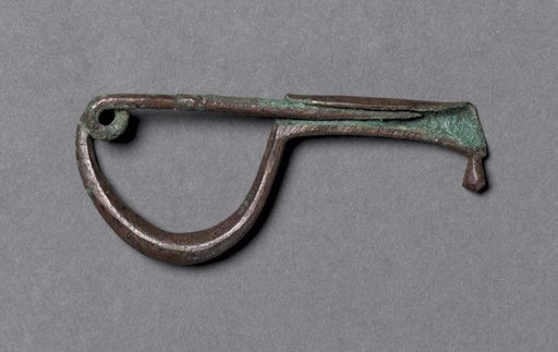 Fibula