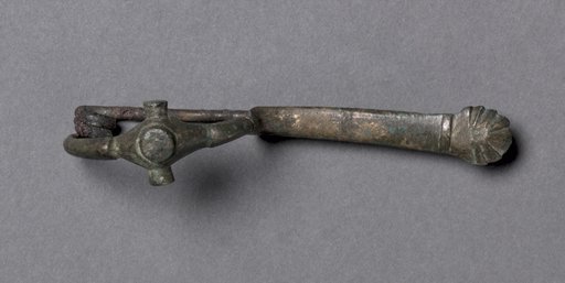 Fibula