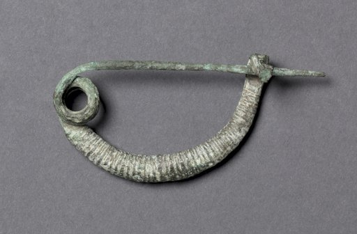 Fibula