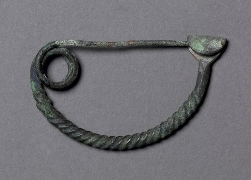 Fibula