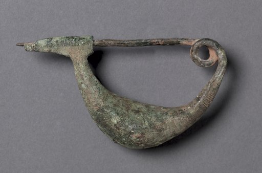 Boat-Shaped Fibula