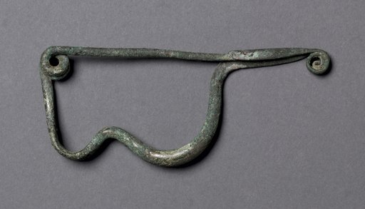 Fibula