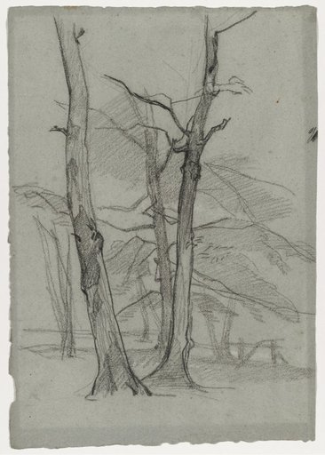 Landscape Study with Trees