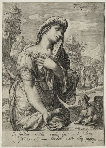 Heroines of the New Testament: The Canaanite
