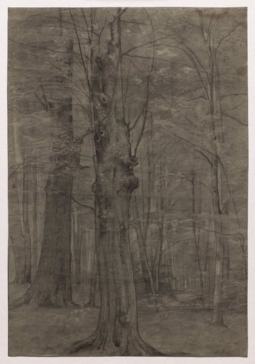 Trees
