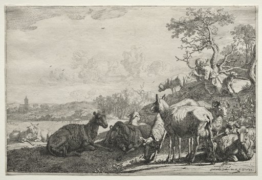 The Shepherd