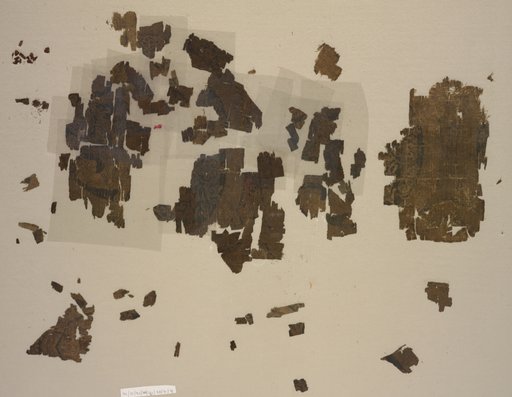 Fragments with winged lions in roundels