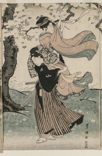 Cherry Blossoms in the Wind